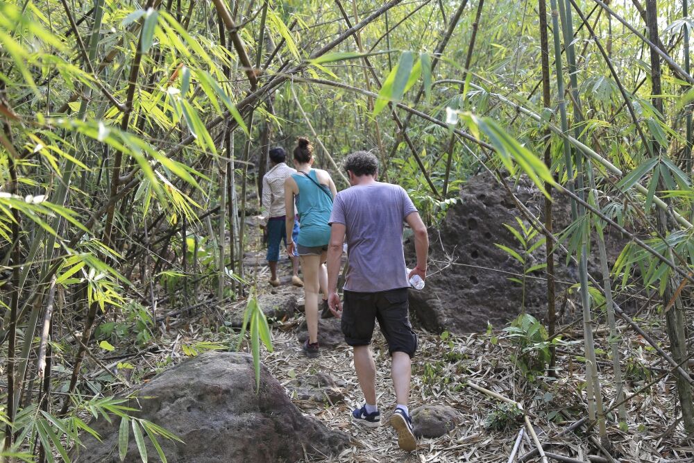 Every step leads to serenity